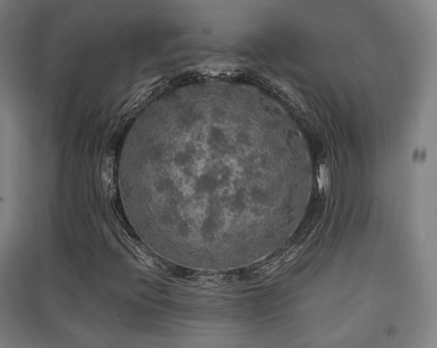 X0000091551396200708171256