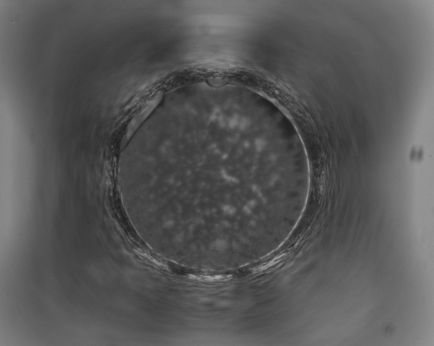 X0000091551397200708171256