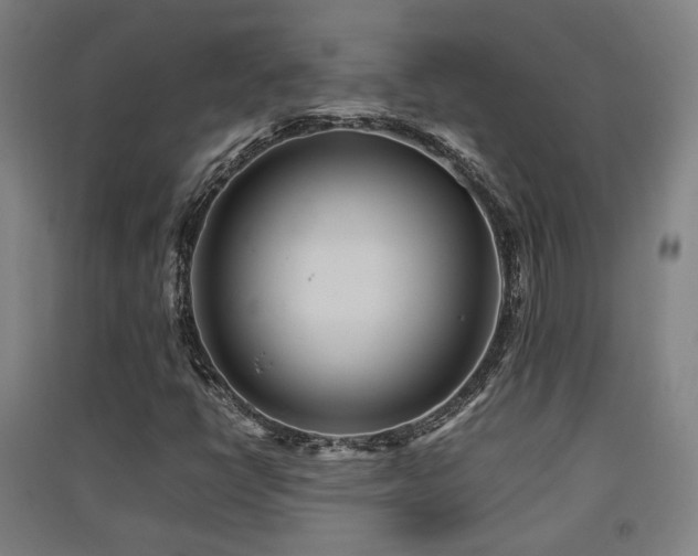 X0000091551398200708171256