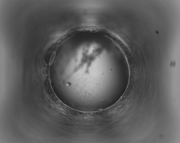X0000091551399200708171256