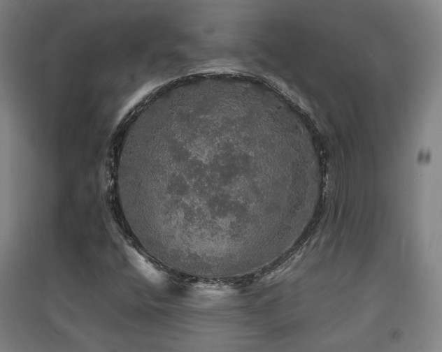 X0000091551400200708171256