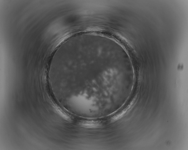 X0000091551401200708171256