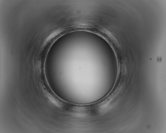 X0000091551402200708171256
