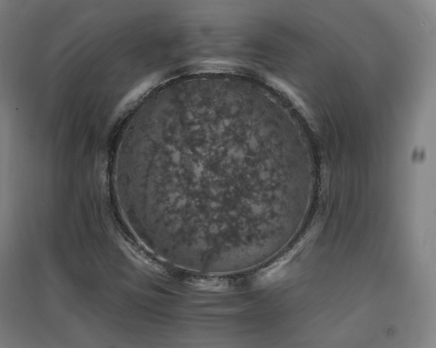 X0000091551403200708171256