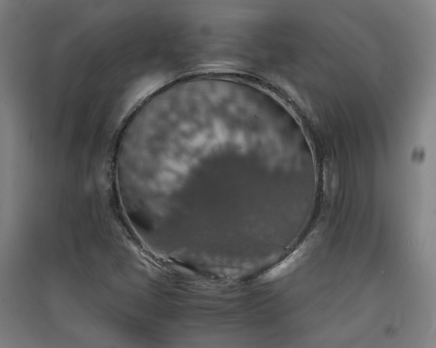X0000091551405200708171256