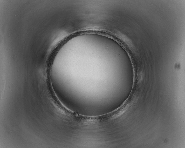 X0000091551406200708171256
