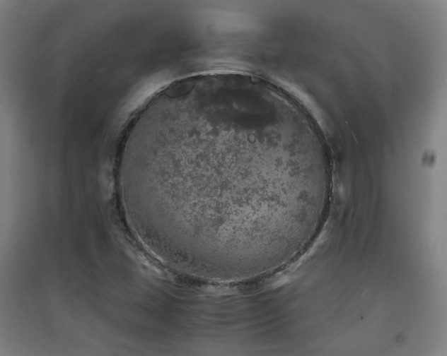 X0000091551407200708171256