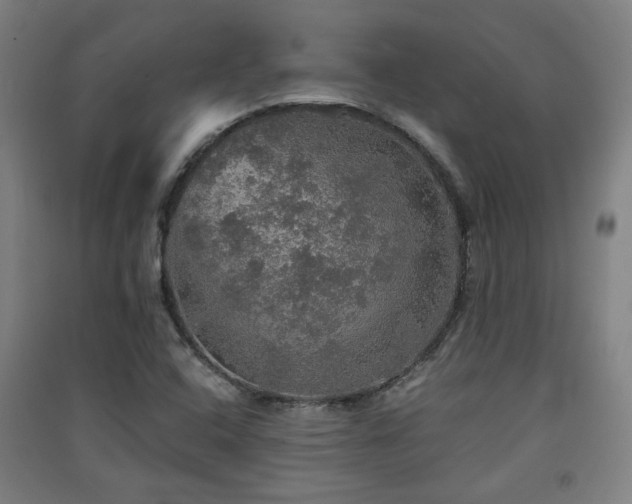 X0000091551408200708171256