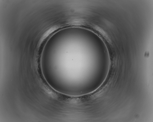 X0000091551410200708171256