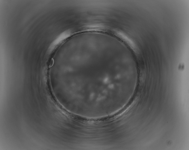 X0000091551411200708171256