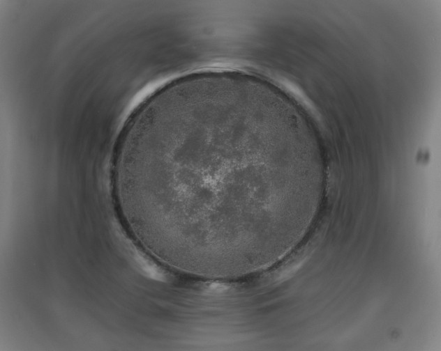 X0000091551412200708171256