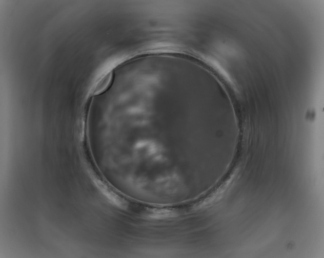 X0000091551413200708171256