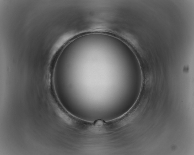 X0000091551414200708171256