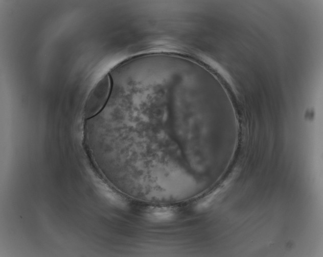 X0000091551415200708171256