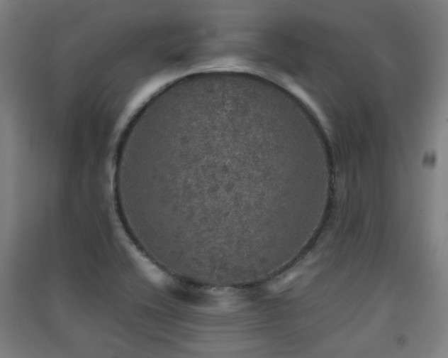 X0000091551416200708171256