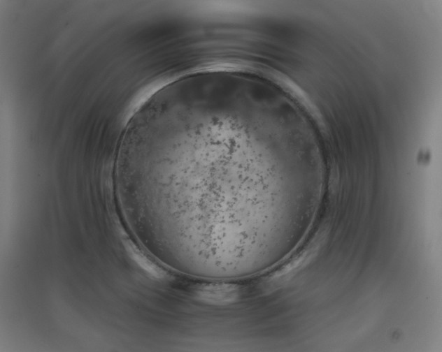 X0000091551417200708171256