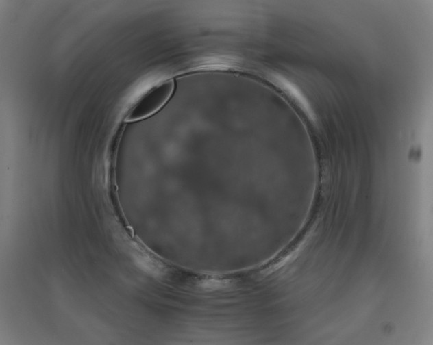 X0000091551419200708171256