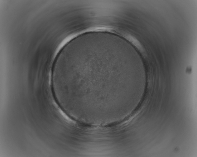 X0000091551420200708171256