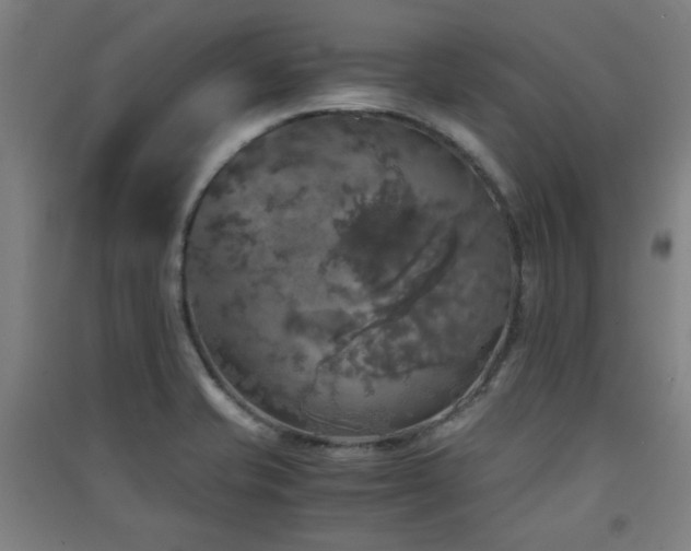 X0000091551421200708171256