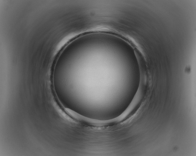 X0000091551422200708171257