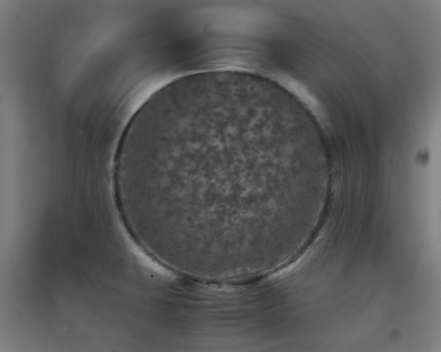 X0000091551423200708171257