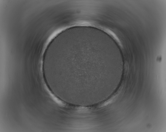 X0000091551424200708171257
