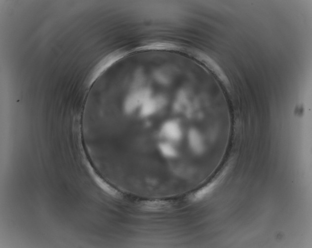 X0000091551425200708171257