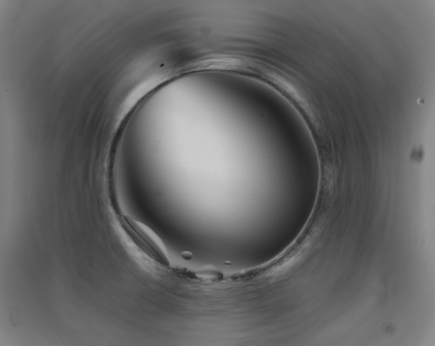 X0000091551426200708171257