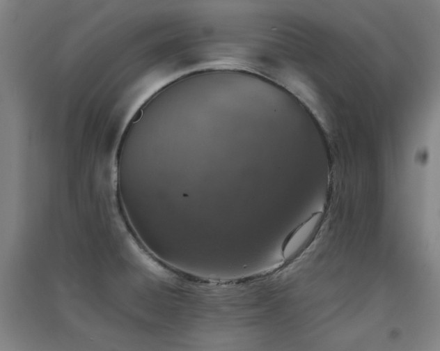 X0000091551428200708171257
