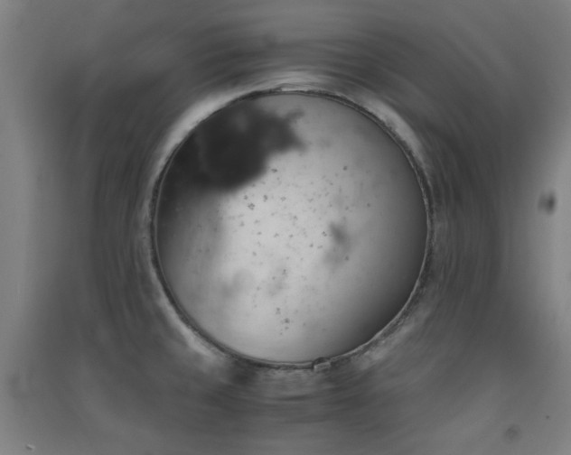 X0000091551429200708171257