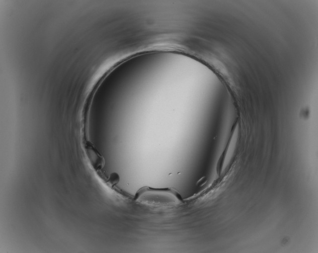 X0000091551430200708171257