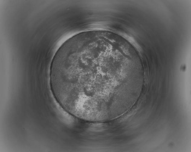 X0000091551431200708171257