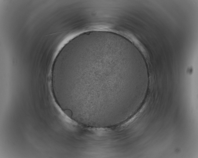 X0000091551432200708171257