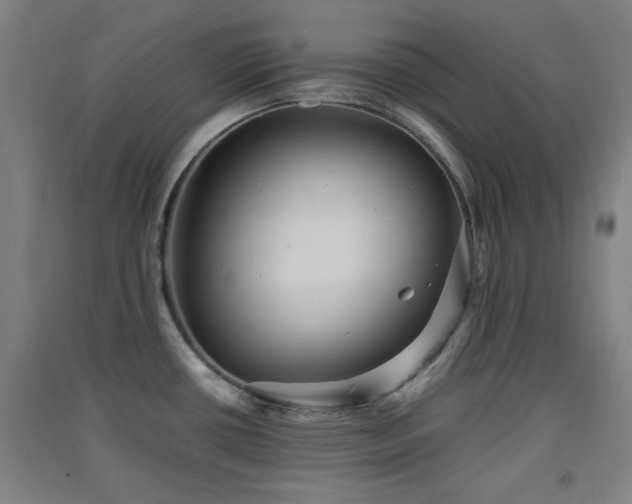 X0000091551434200708171257