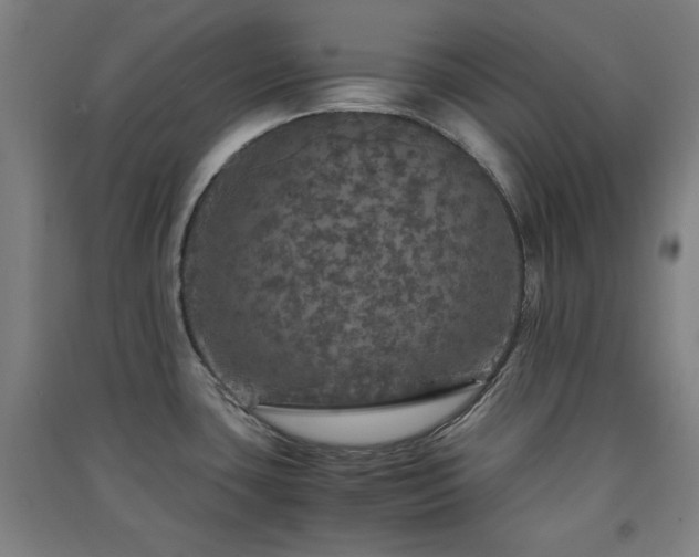 X0000091551435200708171257