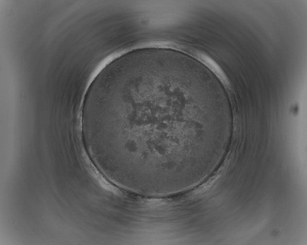 X0000091551436200708171257
