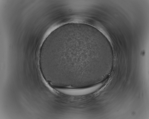 X0000091551437200708171257