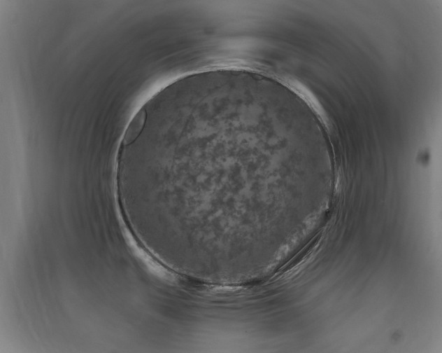 X0000091551439200708171257
