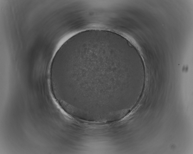 X0000091551440200708171257