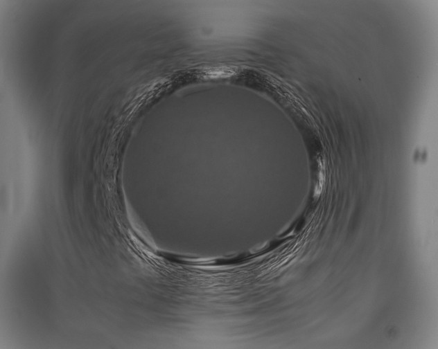 X0000091551441200708171256