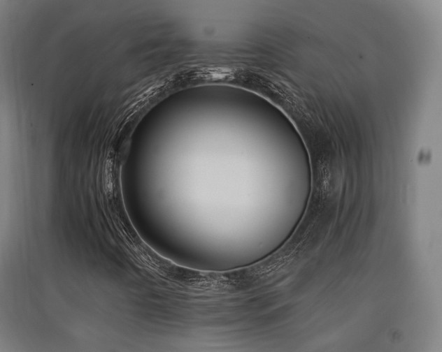 X0000091551442200708171256