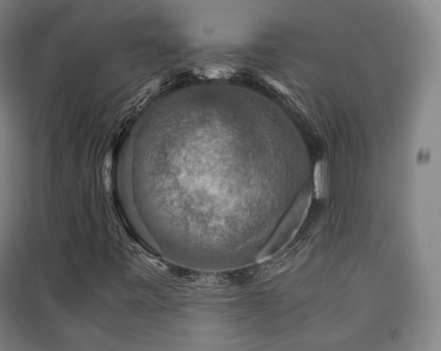 X0000091551443200708171256