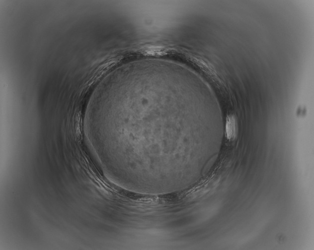 X0000091551444200708171256