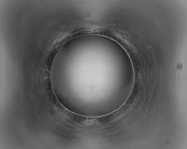 X0000091551447200708171256
