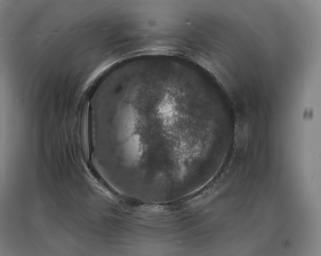X0000091551450200708171256