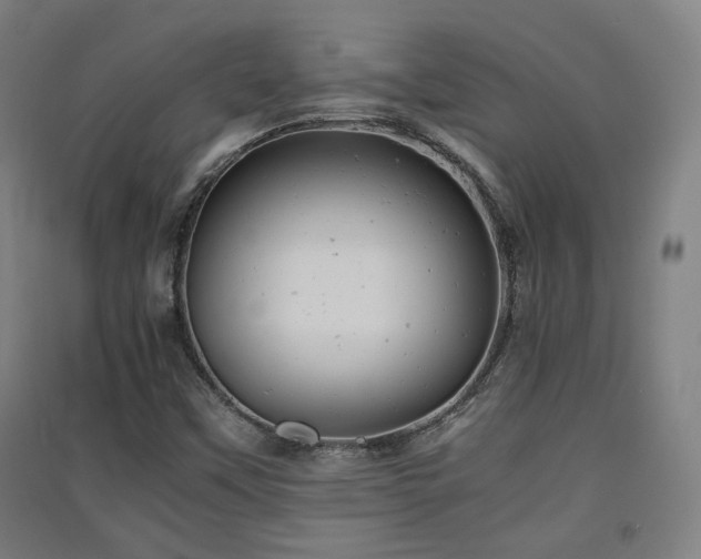 X0000091551451200708171256