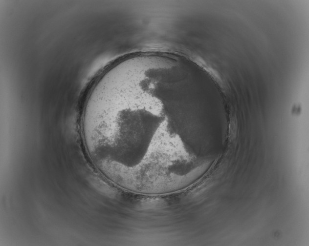 X0000091551454200708171256