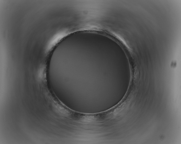 X0000091551455200708171256
