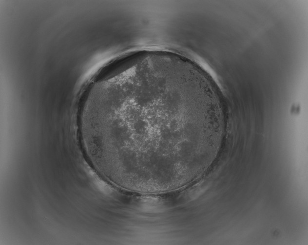 X0000091551456200708171256
