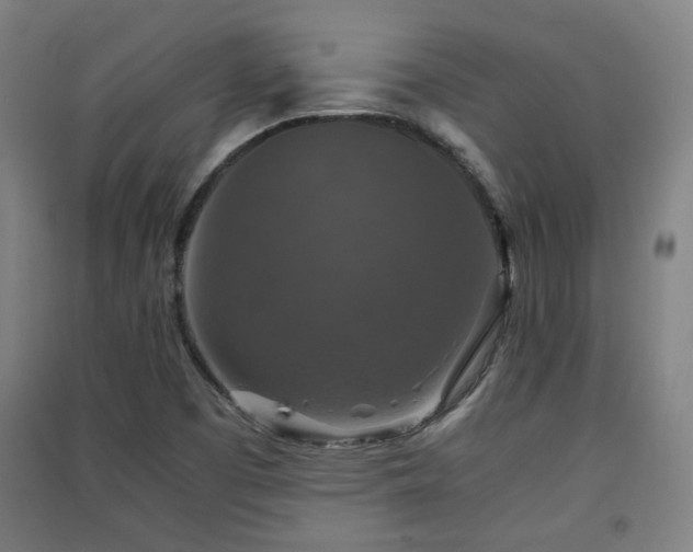 X0000091551457200708171256